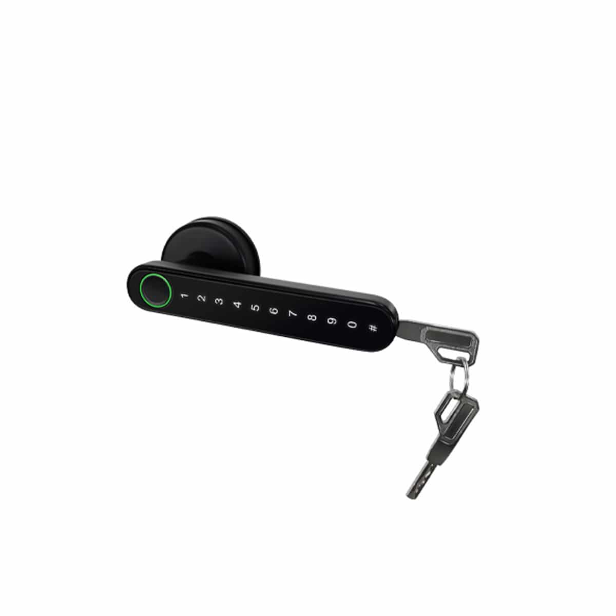 oji-R2-handle-type-smart-lock